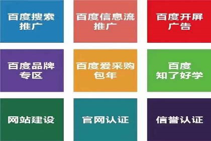 SEM广告投放中的数据监控与调整策略——以某品牌营销案例为例